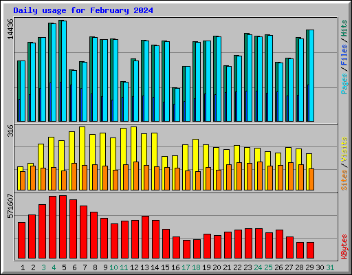 Daily usage for February 2024