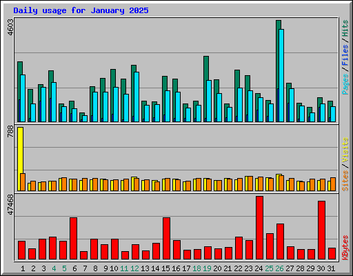 Daily usage for January 2025