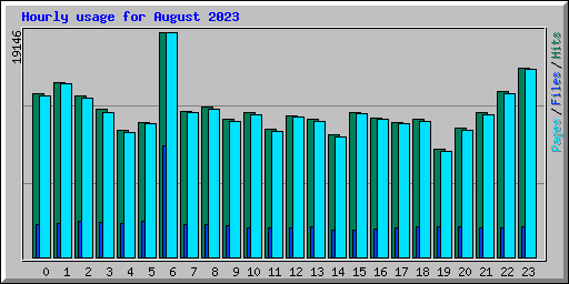 Hourly usage for August 2023