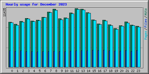 Hourly usage for December 2023