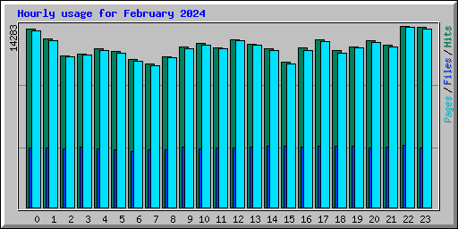 Hourly usage for February 2024