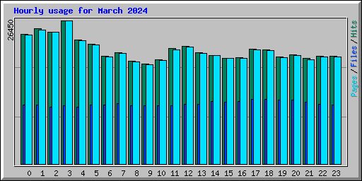 Hourly usage for March 2024