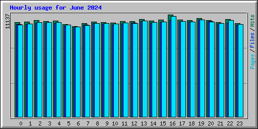 Hourly usage for June 2024