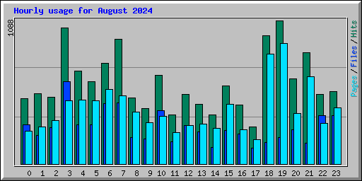 Hourly usage for August 2024