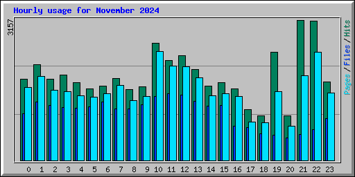 Hourly usage for November 2024