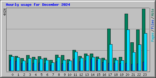 Hourly usage for December 2024