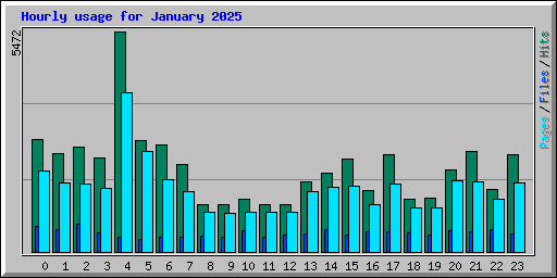 Hourly usage for January 2025