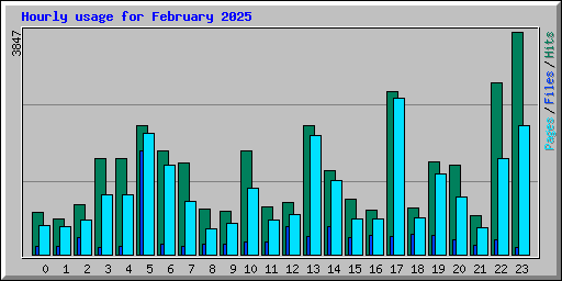 Hourly usage for February 2025